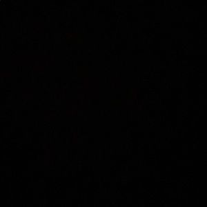 Meet your Posher, Ace